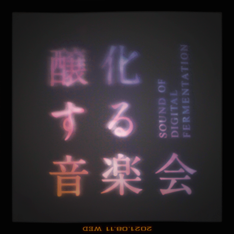 RE ARRIVAL/再入荷 耳で聴かない音楽会&交錯する音楽会 DVD 邦楽